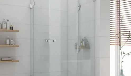 Shower:  Glass Clips